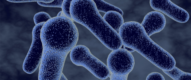 tbl_articles_article_25493_617b0714a30-1945-47c7-87c6-082579ed25fb التسمم الوشيقي: دليلك الشامل