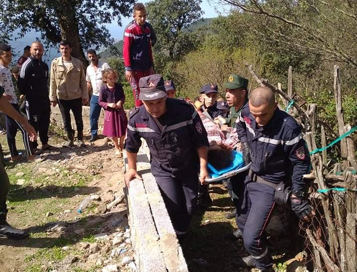 unnamed-file-1500x9999-c العثور على السيدة المفقودة في غابة بسكيكدة