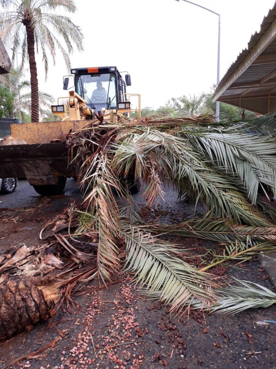 whatsapp-image-2018-11-08-at-08 الكويت