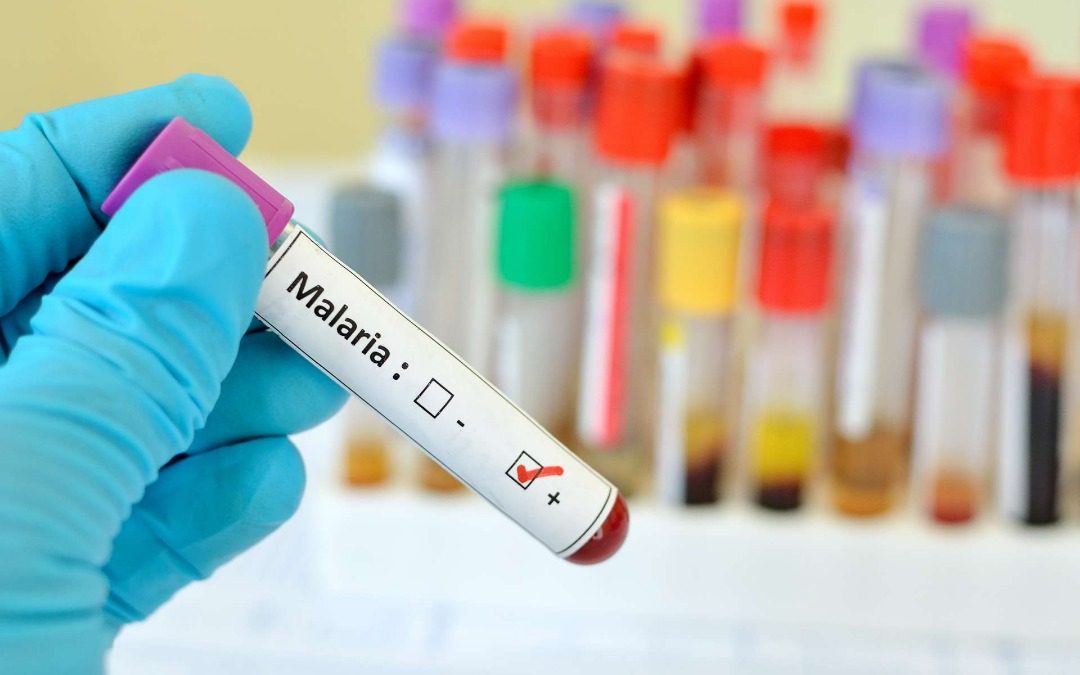 whatsapp-image-2020-09-30-at-17-2 داء الملاريا.. الأعراض والوقاية والعلاج