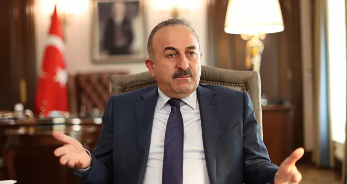 وزير الخارجية التركية مولود جاويش أوغلو وزير الخارجية التركية مولود جاويش أوغلو