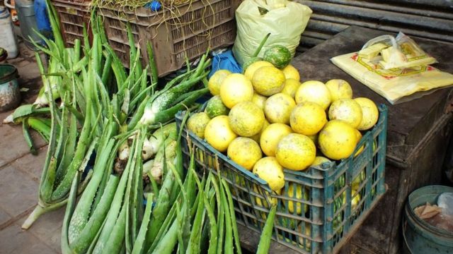 التداوي بالأعشاب الطبيعية