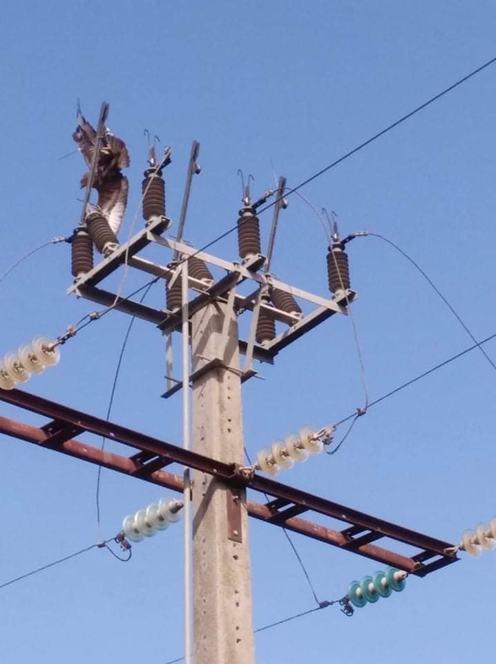 122820668_3581473271899714_4903998848229373150_n الحماية المدنية