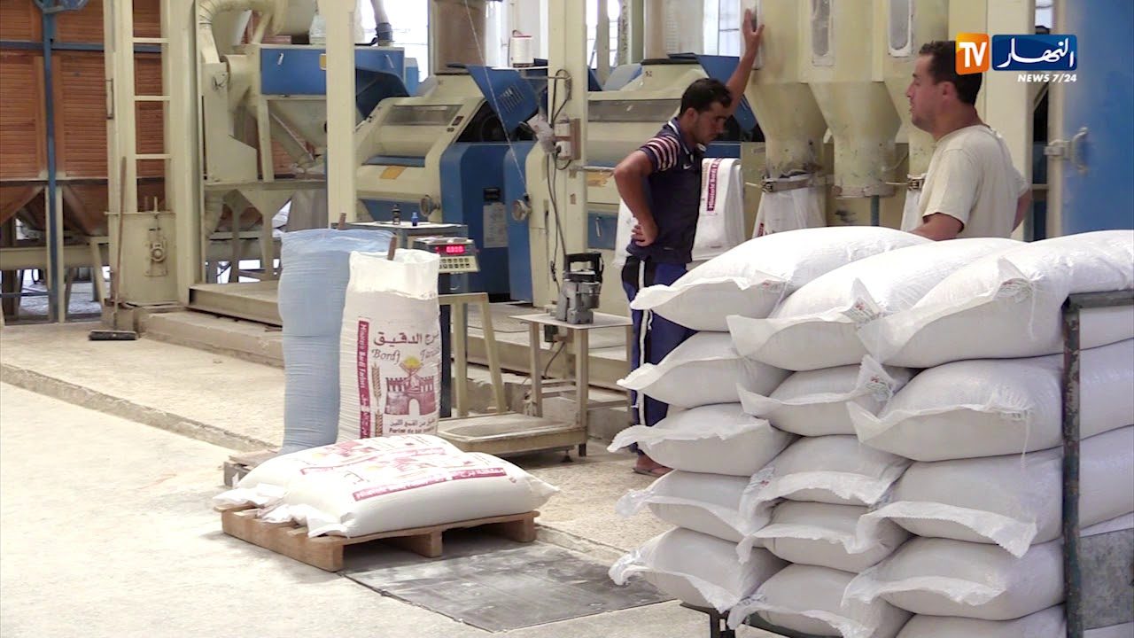 1500x9999-c-15 الديوان المهني للحبوب: تموين المطاحن المنتجة للسميد بالمادة الأولية متواصل أيام العطلة