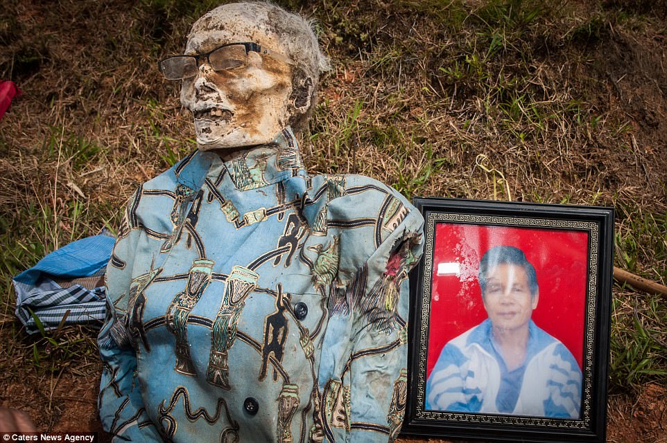 The body of a Torajan man is displayed next to a portrait showing what he looked like while he was alive. Nobody knows quite how the tribe's customs started, since they did not have a written language until the early 1900s, but carbon dating of coffin fragments show the culture goes back until at least 800AD