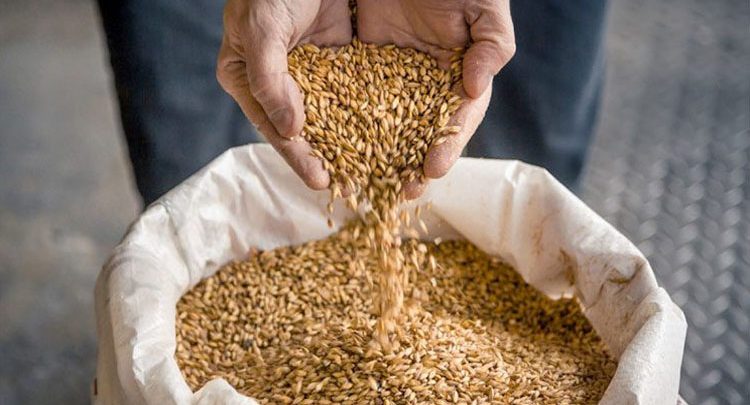 750x405-1-1500x9999-c وزير الفلاحة يطمئن الموالين: سيتم تموينكم بالشعير خلال الأيام القادمة