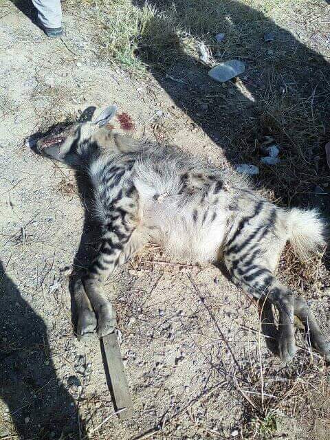 af864714-7e1c-49b3-97ea-7a62613f6f22