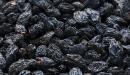 أضرار الزبيب الأسود