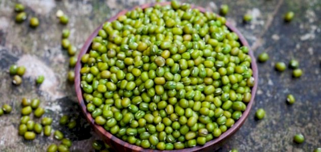 أضرار الماش على الصحة الإنجابية للرجل: مزعومة أم صحيحة علميًّا؟