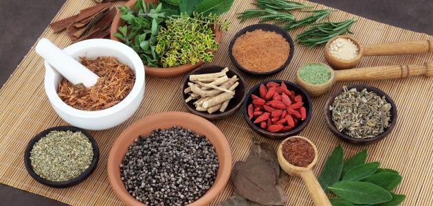 أفضل المقويات الطبيعية للجنس: ما الذي أثبته العلم؟ وما الذي نفاه؟