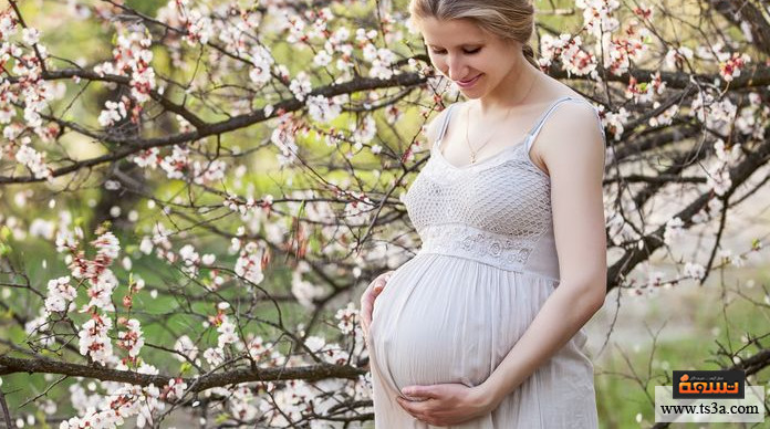 الاستعداد للحمل الاستعداد للحمل الثاني