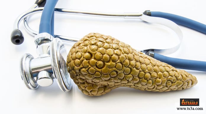 d8a7d984d8a8d986d983d8b1d98ad8a7d8b3-d8a7d984d8b5d986d8a7d8b9d98a-d981d8a7d8a6d8afd8a9-d8a7d984d8a8d986d983d8b1d98ad8a7d8b3-d988d988d8b8d98ad981d8aad987 البنكرياس الصناعي فائدة البنكرياس ووظيفته