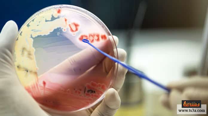 d8a7d984d8aad987d8a7d8a8-d8a7d984d8b3d8add8a7d98ad8a7-d8a7d984d8a8d983d8aad98ad8b1d98a-d8a3d8b9d8b1d8a7d8b6-d8a7d984d8aad987d8a7d8a8-d8a7d984d8b3d8add8a7d98ad8a7-d8a7d984d8a8d983d8aad98ad8b1d98a التهاب السحايا البكتيري أعراض التهاب السحايا البكتيري