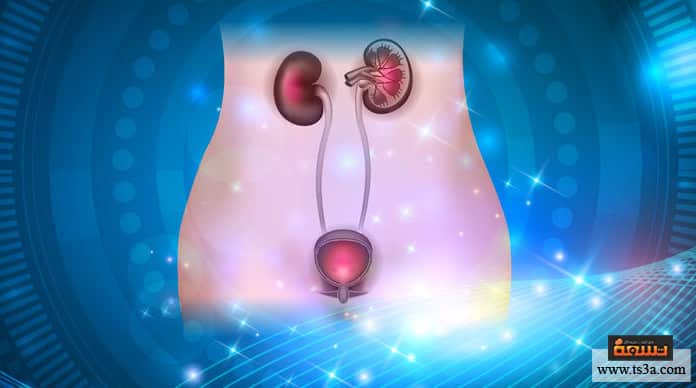 d8a7d984d8aad987d8a7d8a8-d8a7d984d985d8b3d8a7d984d983-d8a7d984d8a8d988d984d98ad8a9-d983d98ad981-d8aad8aad985-d8a7d984d988d982d8a7d98ad8a9-d985d986-d8b9d8afd988d989-d8a7d984d985d8b3d8a7d984d983-d8a7d98 التهاب المسالك البولية كيف تتم الوقاية من عدوى المسالك البولية؟