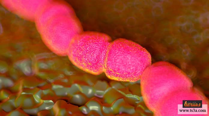 d8a7d984d8aad987d8a7d8a8-d8a7d984d985d8b3d8a7d984d983-d8a7d984d8a8d988d984d98ad8a9-d985d8a7-d987d988-d985d8b1d8b6-d8a7d984d8aad987d8a7d8a8-d8a7d984d985d8b3d8a7d984d983-d8a7d984d8a8d988d984d98ad8a9d89f التهاب المسالك البولية ما هو مرض التهاب المسالك البولية؟