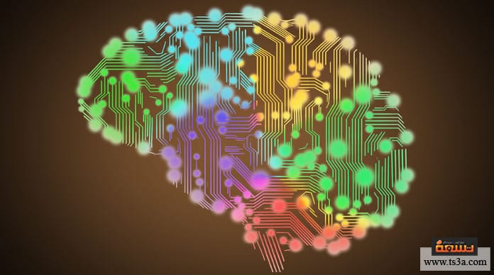 d8b2d98ad8a7d8afd8a9-d983d987d8b1d8a8d8a7d8a1-d8a7d984d985d8ae-d983d987d8b1d8a8d8a7d8a1-d8a7d984d985d8ae-d988d8a7d984d8a3d8b9d8b5d8a7d8a8 زيادة كهرباء المخ كهرباء المخ والأعصاب