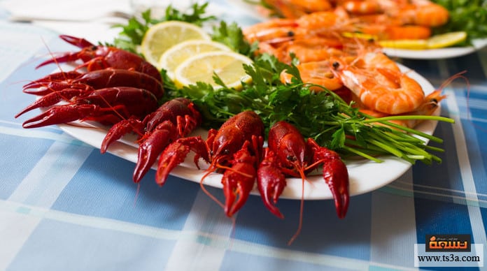 d8b2d98ad8aa-d8a7d984d983d8b1d98ad984-d985d8a7-d987d988-d8b2d98ad8aa-d8a7d984d983d8b1d98ad984-d89f زيت الكريل ما هو زيت الكريل ؟