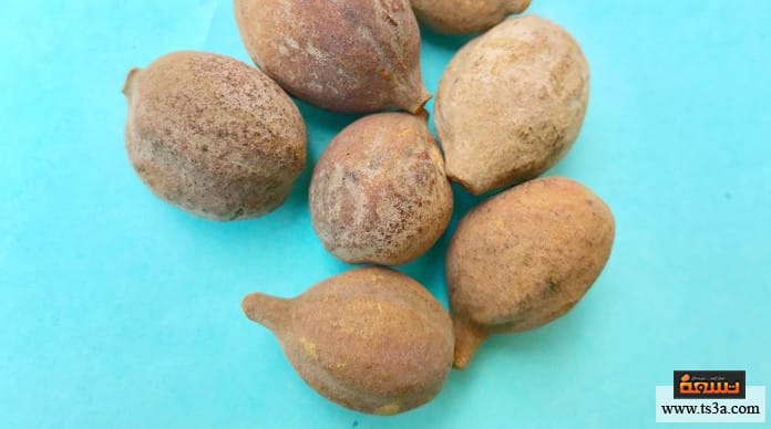 d8b9d8b4d8a8d8a9-d8a7d984d8b9d981d8b5-d981d988d8a7d8a6d8af-d8b9d8b4d8a8d8a9-d8a7d984d8b9d981d8b5 عشبة العفص فوائد عشبة العفص