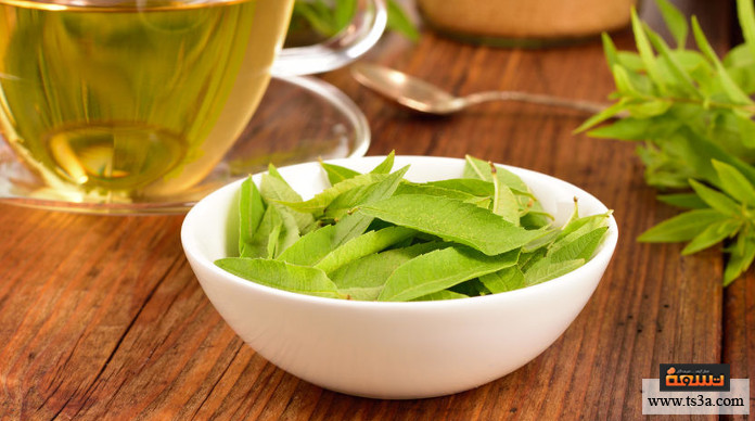 d8b9d8b4d8a8d8a9-d8a7d984d984d988d98ad8b2d8a9-d8b9d8b4d8a8d8a9-d8a7d984d984d988d98ad8b2d8a9-d988d8b5d8add8a9-d8a7d984d981d985-d988d8a7d984d8a3d985d8b9d8a7d8a1 عشبة اللويزة عشبة اللويزة وصحة الفم والأمعاء