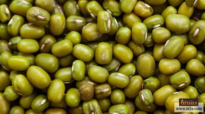 d8b9d8b4d8a8d8a9-d8a7d984d985d8a7d8b4-d8b9d8b4d8a8d8a9-d8a7d984d985d8a7d8b4-d984d984d8aad8b3d985d98ad986 عشبة الماش عشبة الماش للتسمين