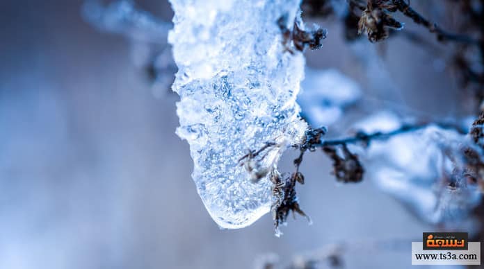 d8b9d8b6d8a9-d8a7d984d8b5d982d98ad8b9-d8a7d984d988d982d8a7d98ad8a9-d985d986-d8b9d8b6d8a9-d8a7d984d8b5d982d98ad8b9 عضة الصقيع الوقاية من عضة الصقيع