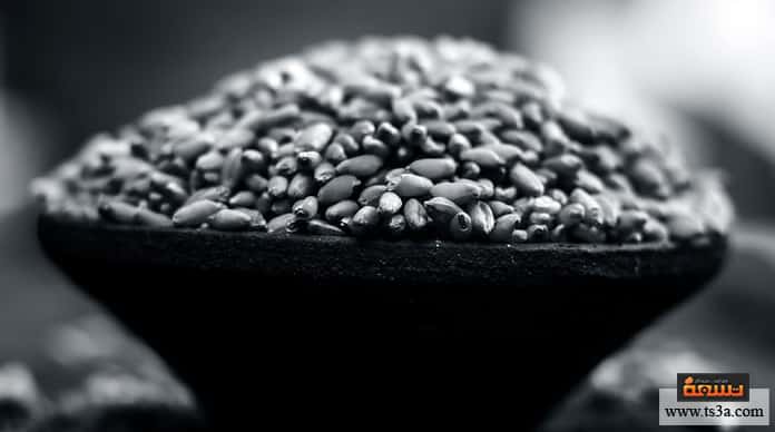 d981d988d8a7d8a6d8af-d8a7d984d8a8d8b1d8bad984-d981d988d8a7d8a6d8af-d8a7d984d8a8d8b1d8bad984-d984d983d985d8a7d984-d8a7d984d8a3d8acd8b3d8a7d985 فوائد البرغل فوائد البرغل لكمال الأجسام