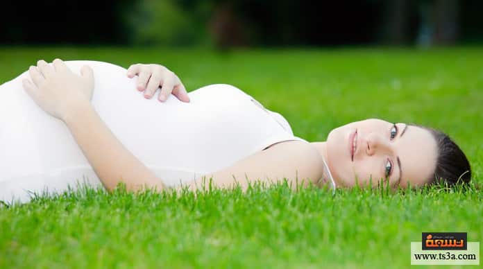 d981d988d8a7d8a6d8af-d8a7d984d8aed8b1d8b4d988d981-d981d988d8a7d8a6d8af-d8a7d984d8aed8b1d8b4d988d981-d984d984d8add8a7d985d984 فوائد الخرشوف فوائد الخرشوف للحامل