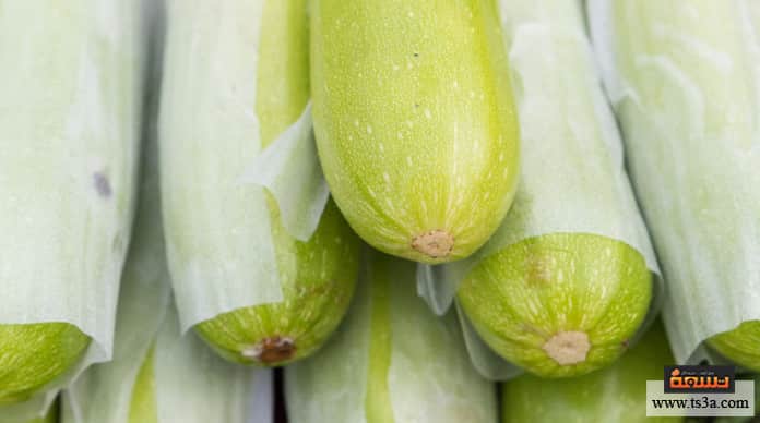 d981d988d8a7d8a6d8af-d8a7d984d982d8abd8a7d8a1-d981d988d8a7d8a6d8af-d8a7d984d982d8abd8a7d8a1-d8a7d984d8b5d8add98ad8a9 فوائد القثاء فوائد القثاء الصحية