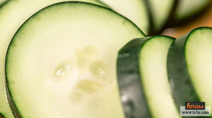 d981d988d8a7d8a6d8af-d8a7d984d982d8abd8a7d8a1-d981d988d8a7d8a6d8af-d8a7d984d982d8abd8a7d8a1-d984d984d8b1d98ad8acd98ad985 فوائد القثاء فوائد القثاء للريجيم