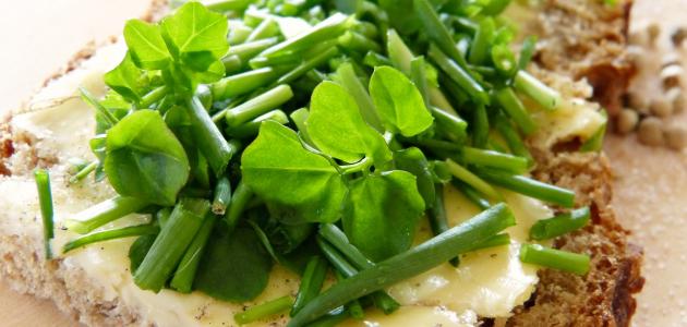 فوائد الجرجير للصحة الإنجابية للرجل: فوائد مزعومة أم صحيحة علميًّا؟