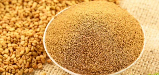 فوائد الحلبة للصحة الإنجابية للرجل: فوائد مزعومة أم صحيحة علميًّا؟ فوائد الحلبة للصحة الإنجابية للرجل: فوائد مزعومة أم صحيحة علميًّا؟