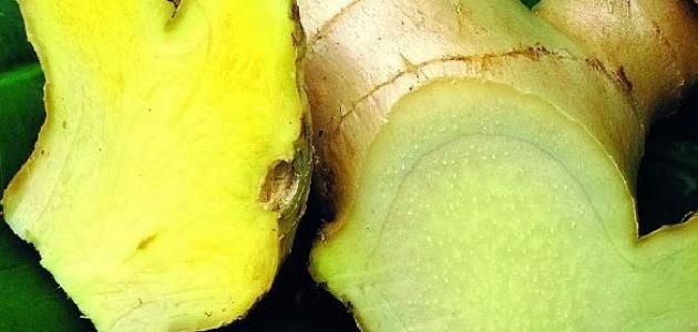 فوائد الزنجبيل الأخضر للكرش: فوائد مزعومة أم صحيحة علميًّا؟