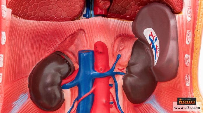 متلازمة رائحة السمك تحليل متلازمة رائحة السمك