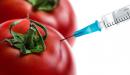 معلومات عن الأغذية المعدلة وراثياً
