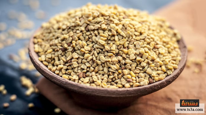 منقوع الحلبة طريقة عمل منقوع الحلبة