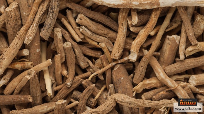 d986d8a8d8a7d8aa-d8a7d984d8b9d8a8d8a8-d981d988d8a7d8a6d8af-d986d8a8d8a7d8aa-d8a7d984d8b9d8a8d8a8 نبات العبب فوائد نبات العبب