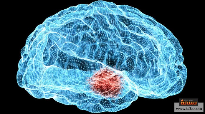 d987d8b1d985d988d986-d8a7d984d8b3d8b9d8a7d8afd8a9-d987d8b1d985d988d986-d8a7d984d8afd988d8a8d8a7d985d98ad986 هرمون السعادة هرمون الدوبامين