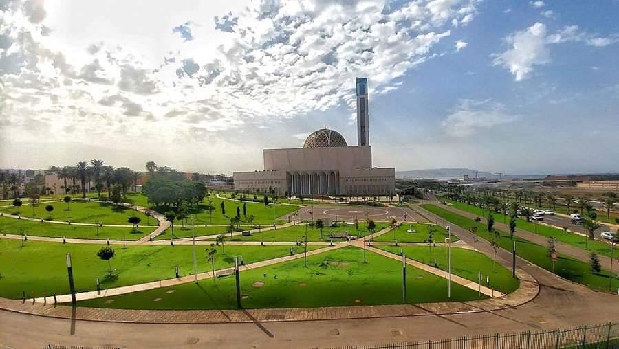 الصورة