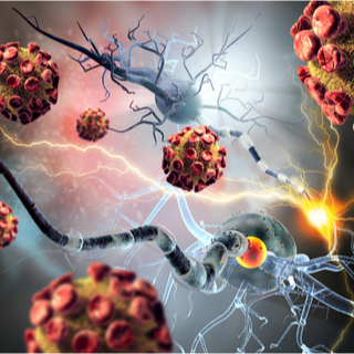 مرض الذئبة الحمراء مرض الذئبة الحمراء