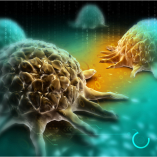 انخفاض فرصة الوفاة الناجمة عن السرطان انخفاض فرصة الوفاة الناجمة عن السرطان