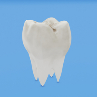 المرحلة الأولى: البقع البيضاء المرحلة الأولى: البقع البيضاء