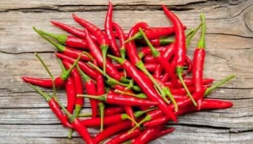 d981d984d981d984-d8add8b1d98ad981 فلفل حريف