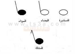 الاشكال الايقاعية