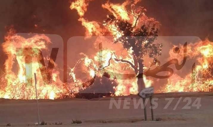 images-3-1500x9999-c تيبازة.. وفاة شخصين واختناق 10 ٱخرين بسبب حرائق غابات قوراية