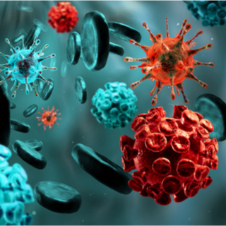أسباب داء الثعلبة أسباب داء الثعلبة