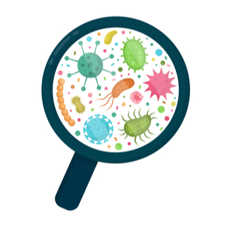 مراقبة ظهور أي علامات للعدوى مراقبة ظهور أي علامات للعدوى