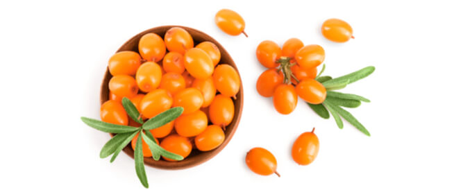 tbl_articles_article_26753_1789253d27a-8f4d-4c7f-9726-9bd77ad3b947 ما حقيقة فوائد النبق للحامل