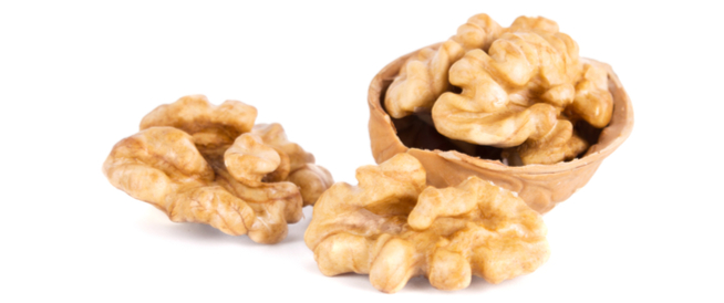 tbl_articles_article_26918_409b68b156-2a45-40d2-9a39-6afe5ab7ddf2 فوائد الجوز على الريق