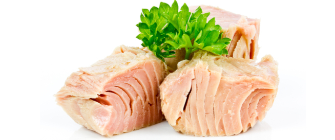 tbl_articles_article_26938_2375a8ecba-2172-4b09-a17c-fdca1004e26b فوائد التونة للشعر والبشرة