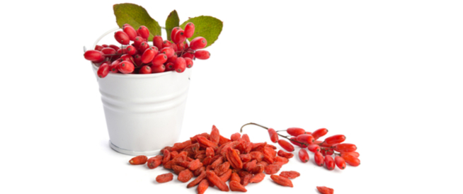 tbl_articles_article_27071_765bf108bbb-af5a-4e31-9bfa-543f39f7c915 تعرّف على توت الغوجي